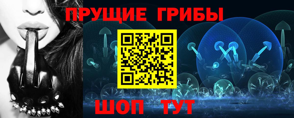 Псилоцибиновые грибы Psilocybine cubensis  Вход с VPN  Тулун 