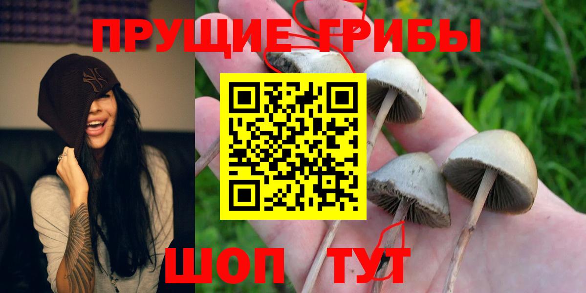 Псилоцибиновые грибы ЛСД Тулун